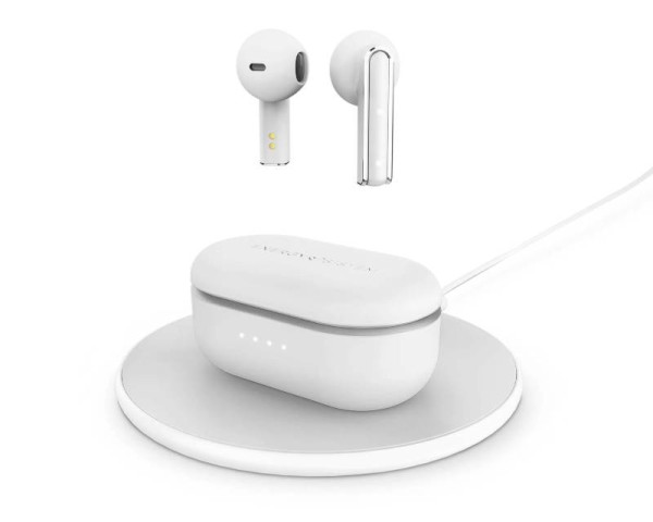 https://www.stefan.co.rs/images/products/big/158325.jpg