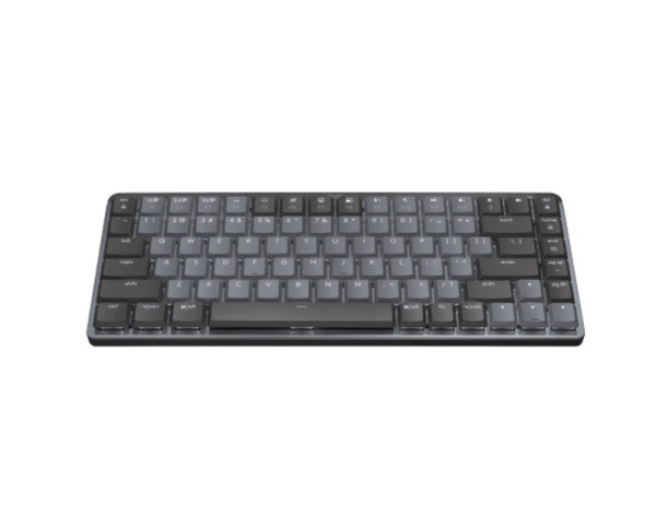 https://www.stefan.co.rs/images/products/big/166239.jpg