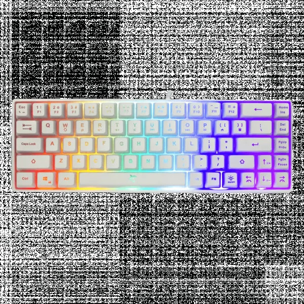 Tastatura White Shark RONIN TKLMembranskaRGBBelaUS