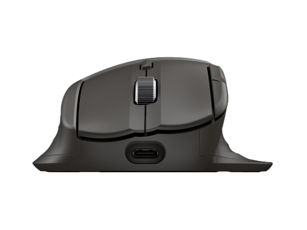HP DOD Ultra-Fast-Scroll Wireless Mouse 785M, B8YX4AA